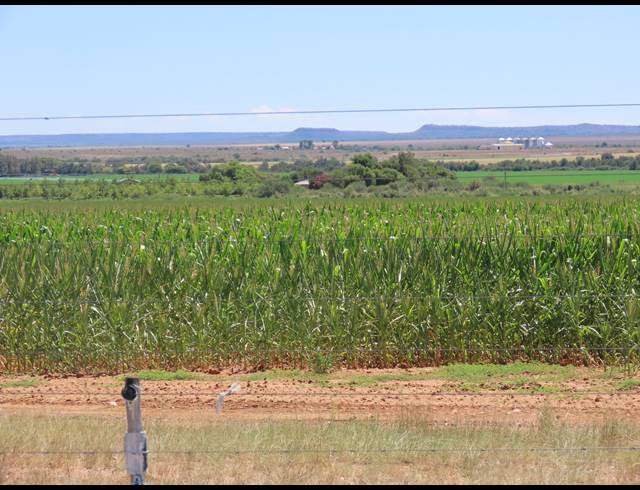 213HA FARM FOR SALE IN HOPETOWN RURAL